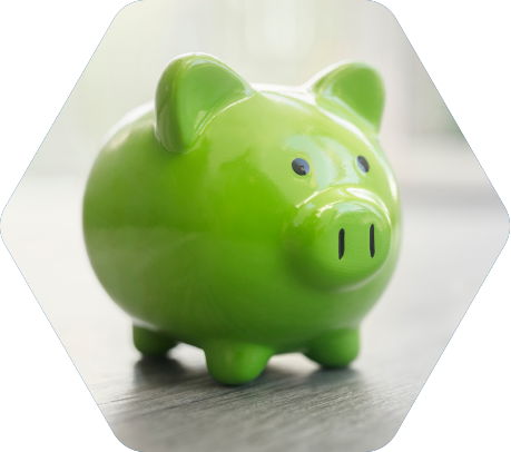 Cost-Savings-Pig-Hex Cost-Savings-Pig-Hex