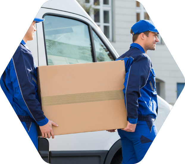 Large-Movers-Carrying-Box